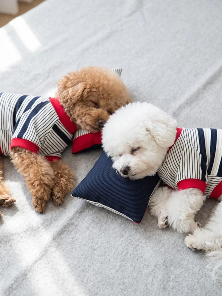 Yacht Club Marin Çizgili Köpek Uyku Takımı | Lacivert Kırmızı Pamuklu Köpek Tişört ve Mini Yastık | Küçük Irklar İçin ürün görseli 1