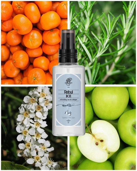 REBUL KOLONYA 125  ML ICE - Resim 2