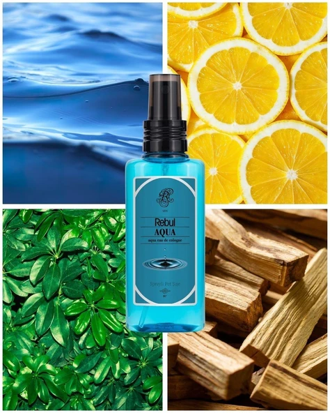REBUL KOLONYA 125  ML AQUA - Resim 2