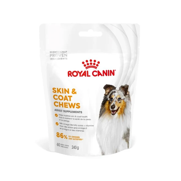 Royal Canin Yetişkin Köpekler İçin Deri ve Tüy Sağlığını Destekleyen Tamamlayıcı Ödül Maması 240 Gr ürün görseli 1
