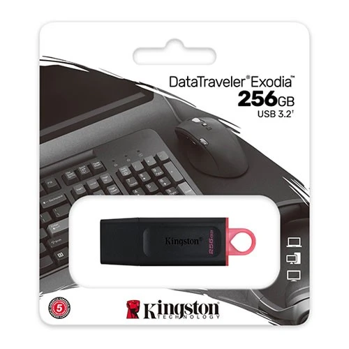 KINGSTON 256GB USB 3.2 Usb Bellek Exodia DTX/256GB ürün görseli 1