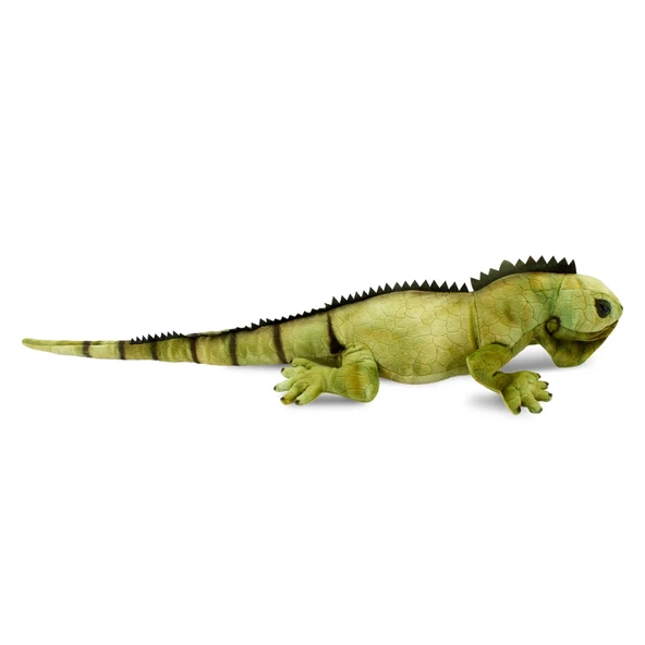İguana 66 cm - Resim 2