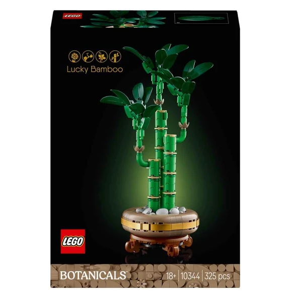 Botanicals Şans Bambusu 10344 - Resim 3