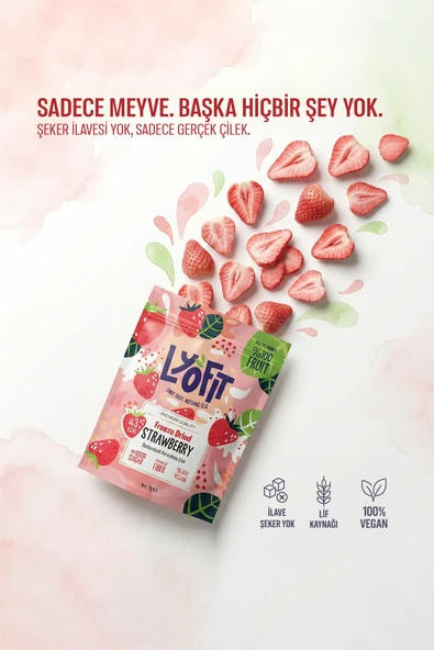Freeze Dried Çilek 12g - Resim 3