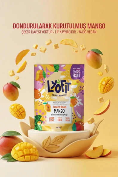 Freeze Dried Mango 20g - Resim 2