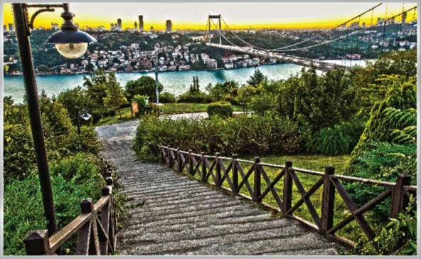 Prowall POSTER DUVAR KAĞIDI 1065 4 PARÇA (2.54mt X 1.84mt) ürün görseli 1