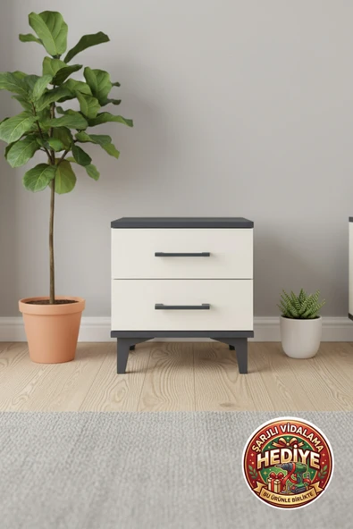 mobihobi Silva Komodin 2 Çekmeceli 44x30x48 Antrasit-Aytaşı | Dekoratif ve Fonksiyonel ürün görseli 1
