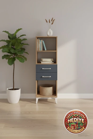 mobihobi Silva Dolap 2 Raflı 2 Çekmeceli - Çam Antrasit | 44x30x134 cm ürün görseli 1