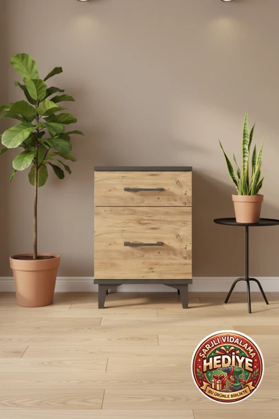 mobihobi Silva Komodin 2 Çekmeceli Antrasit-Çam 44x30x64 cm | Şık ve Fonksiyonel ürün görseli 1
