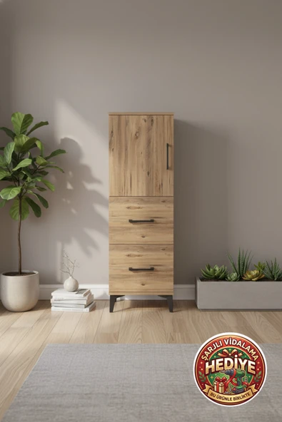 mobihobi Silva Dolap 2 Raflı 2 Çekmeceli Tek Kapaklı 44x30x134 cm Çam ürün görseli 1
