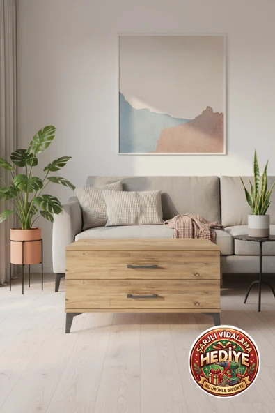 mobihobi Luna 2 Çekmeceli Şifonyer - 88x44x48 Çam Gövde & Kapak ürün görseli 1