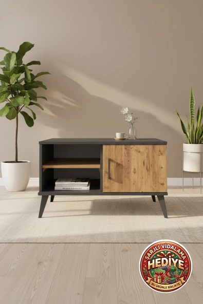 mobihobi Luna Antrasit-Çam 2 Raflı Tek Kapaklı Şifonyer | 88x44x48cm ürün görseli 1