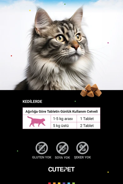 Kedi Aktif Yaşam Paketi - Resim 4