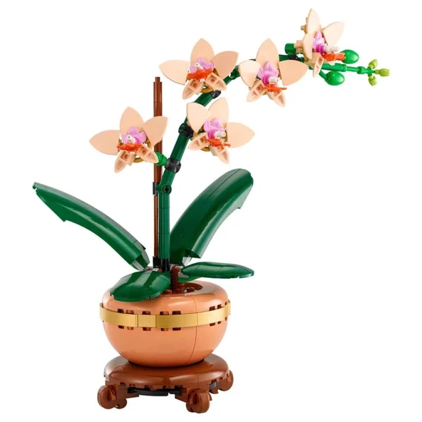 Botanicals Mini Orkide 10343 ürün görseli 1