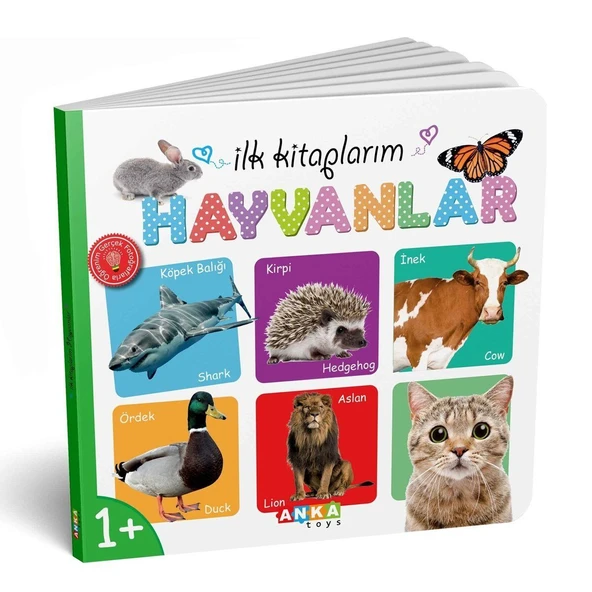 7202 İLK KİTAPLARIM 6LI SET - Resim 5