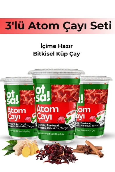 Otsa 3x Zencefil Özlü, Hibiskus, Tarçın Ve Zerdeçal Harmanlı, Doğal Ve Enerji Verici Atom Çayı ürün görseli 1
