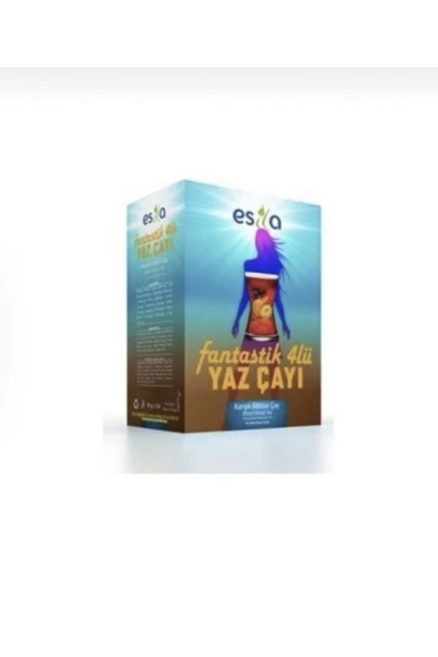 Esila çay Esila Fantastik 4lü Yaz Çayı ürün görseli 1