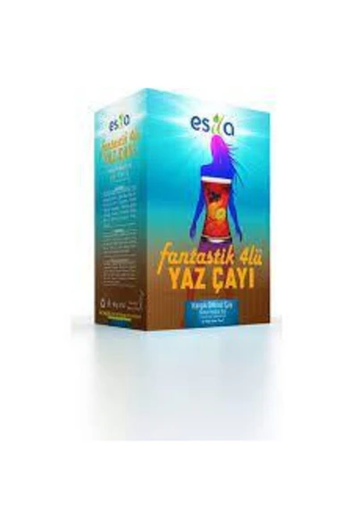 Aybars baharat Esila Fantastik Dörtlü Yaz Çayı 45li Poşet Çay ürün görseli 1