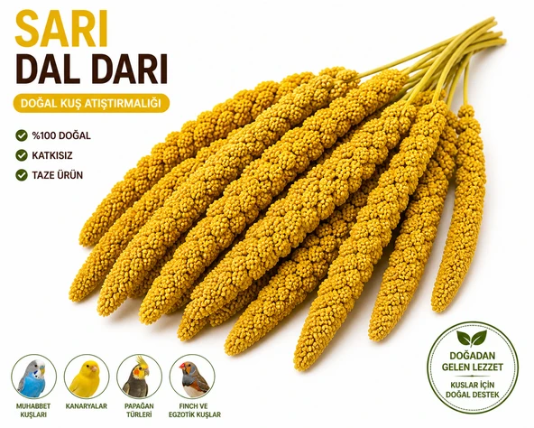 Kuşlar İçin Doğal Sarı Dal Darı 100 gr ürün görseli 1