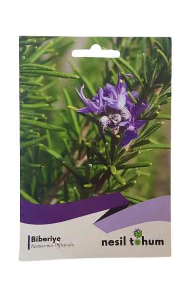 Biberiye Tohumu - Resim 2
