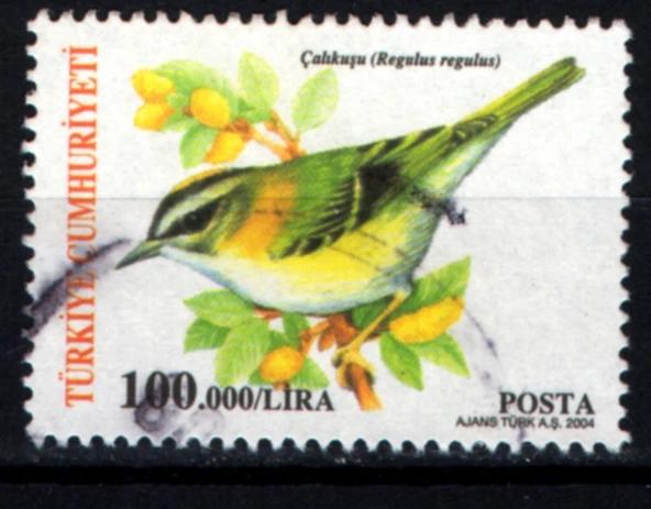 EABİ-2004 T.C. Pul  (tp0702) ürün görseli 1