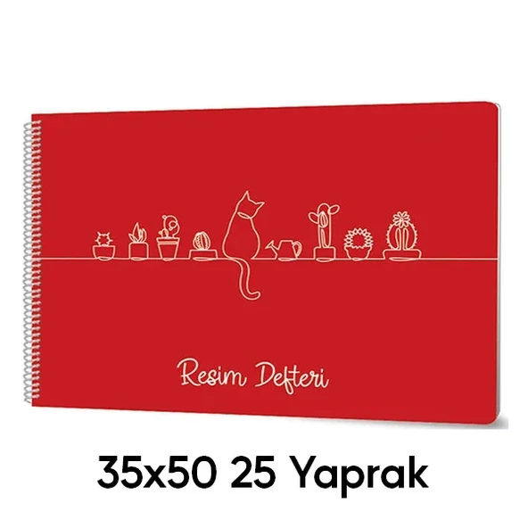 Sevinç 35X50 Pp Kapak 25 Yaprak Tel Spiralli Resim Defteri ürün görseli 1