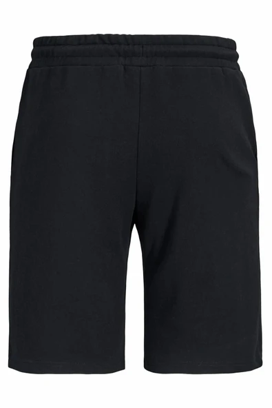 Jack Jones Gordon Regular Fit Erkek Şort 12289726 - Resim 2