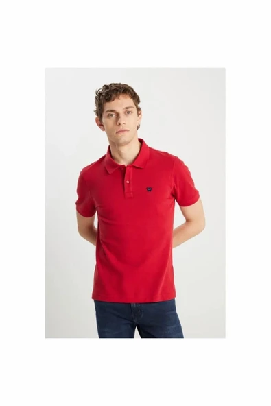 Wrangler Regular Fit Polo Yaka Erkek T-shirt W7D5K4XX2T600 ürün görseli 1