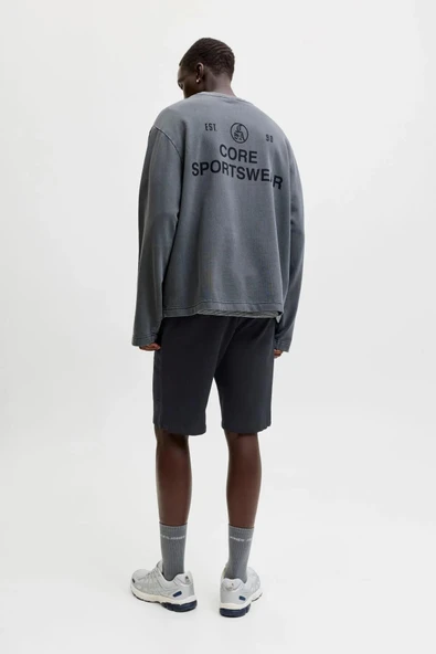 Jack Jones Gordon Regular Fit Erkek Şort 12289726 - Resim 6