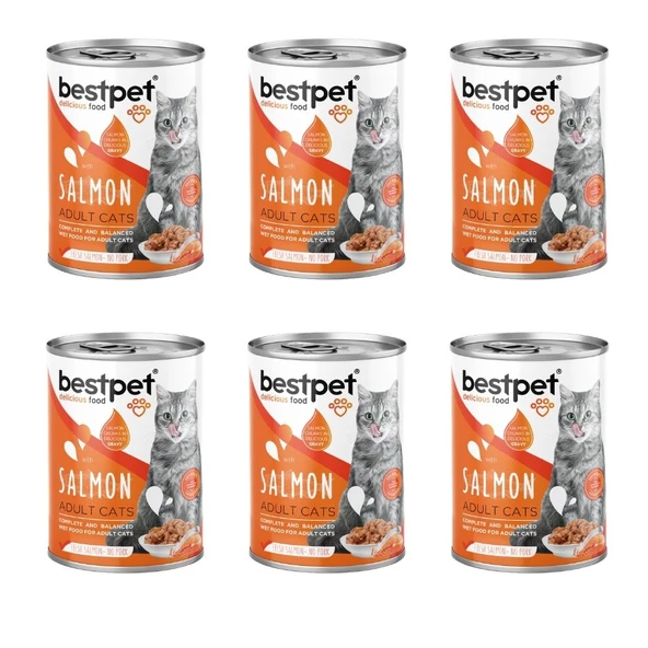 Bestpet Somonlu Jöleli Yetişkin Kedi Konservesi 400 Gr x 6 Adet ürün görseli 1