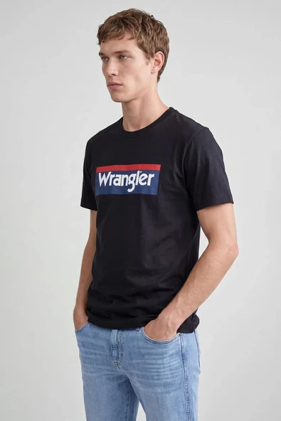 Lee Big Logo Erkek T-shirt W2610069003 ürün görseli 1