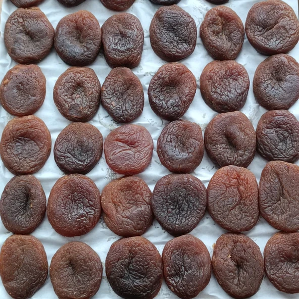 Jumbo özel dizim kayısı - Resim 2