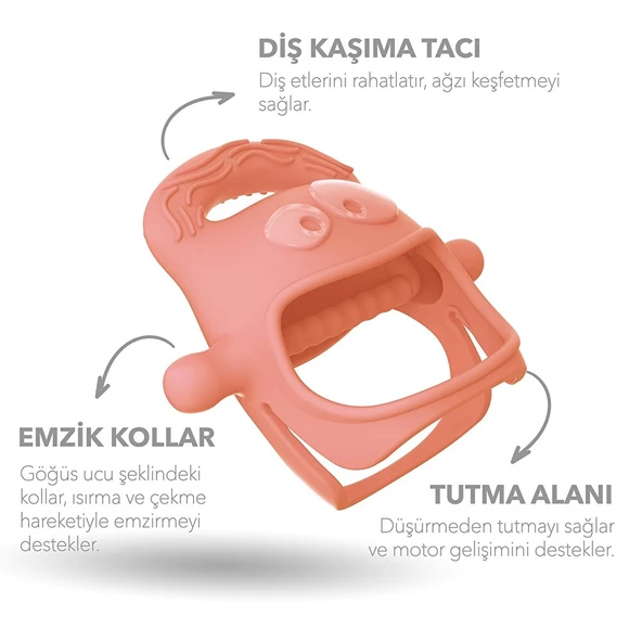 Diş Kaşıyıcı Somon (3 ADET) - Resim 2