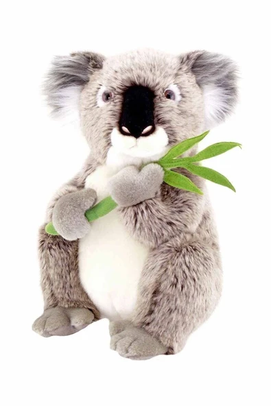 3 ADET Animals of the World Koala Pelüş 36 cm ürün görseli 1