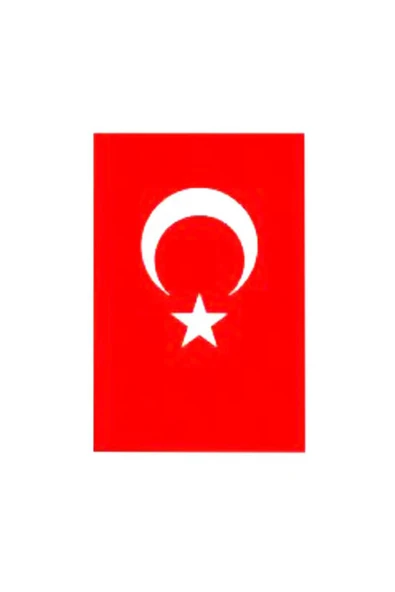 4 ADET Ayyıldız Türk Bayrak 70x105 cm ürün görseli 1