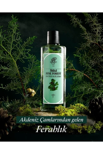Rebul Kolonya Pine 250 ml - Resim 2