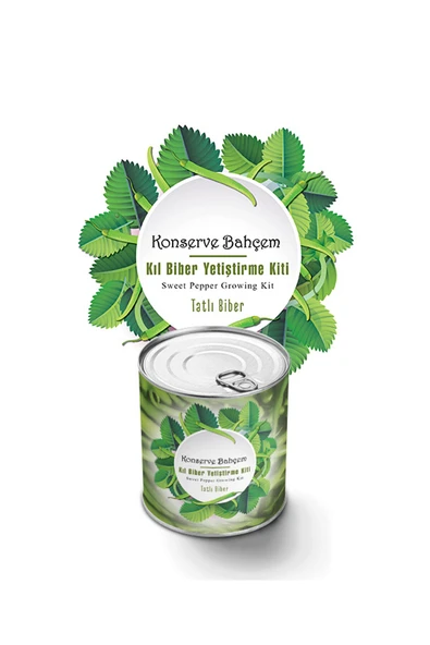 4 ADET   Konserve Kıl Biber Yetiştirme Kiti KB016 ürün görseli 1