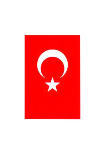 4 ADET   Türk Bayrak 30X45 - Resim 2