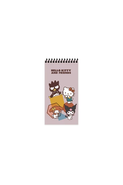 3 ADET  Hello Kitty and Friends 10*19 80 Yp Çiz. Spr.Karton Kapak Defter ürün görseli 1