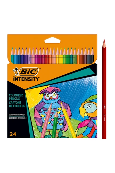 3 ADET  Bıc Color Up Üçgen Kuru Boya 24 Lu ürün görseli 1