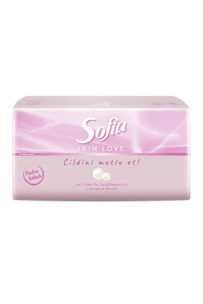 3 ADET  Sofia Skın Love Mendil Pudra Kokulu 100'lü ürün görseli 1