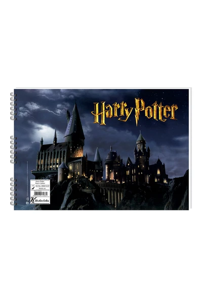 2 ADET  Harry Potter 25x35 15 Yaprak Karton Kapak Spiralli Resim Defteri ürün görseli 1