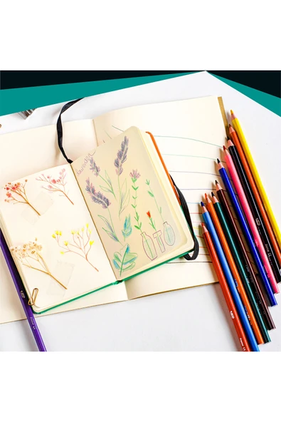 Bıc Color Up Üçgen Kuru Boya 24 Lu - Resim 2