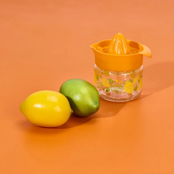 Fresia Desenli Limonluk - Asorti - 300 ml - Resim 2