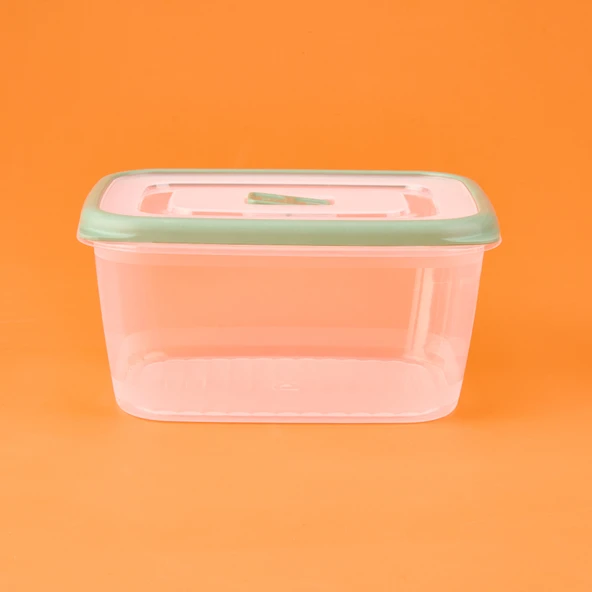 Plastik Saklama Kabı - Şeffaf / Yeşil - 1,7 lt ürün görseli 1