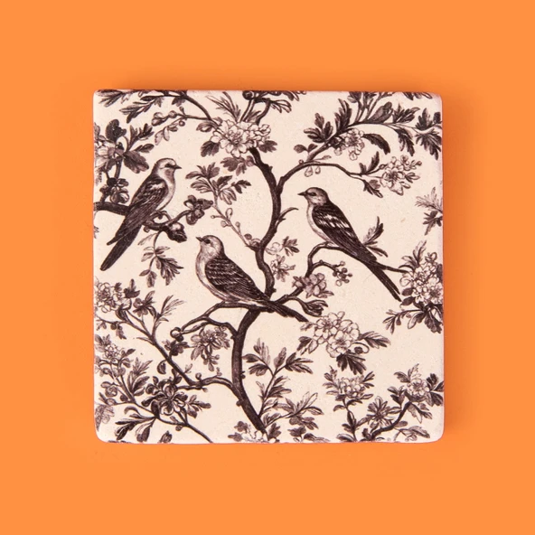 Kitchen Kuşlar Taş Bardak Altlığı - Renkli - 10x10 cm ürün görseli 1