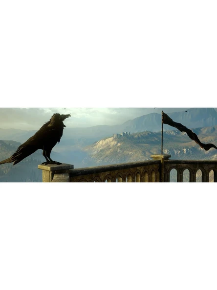 Dragon Age: Inquisition CD Oyun Teşhir - Resim 4