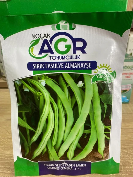 Agr Sırık Fasulye AlmanAyşe Tohum 25 Gr ürün görseli 1