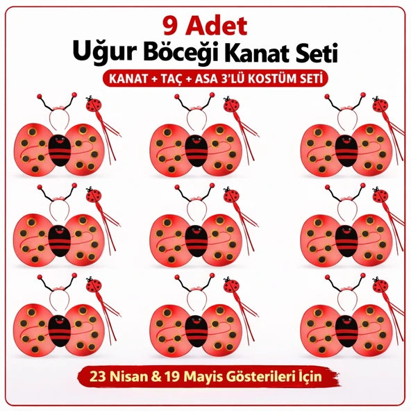 9’lu Uğur Böceği Ateş Böceği Kostüm Seti – Kanat Taç Asa ürün görseli 1