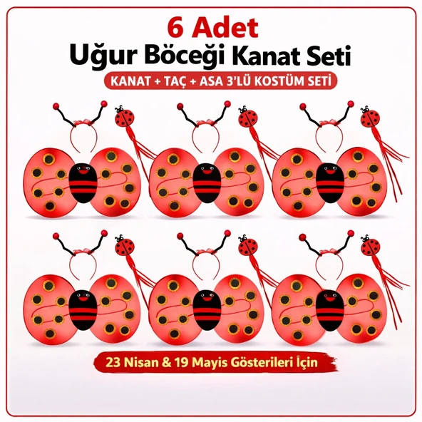 6'lı Uğur Böceği Ateş Böceği Kostüm Seti – Kanat Taç Asa ürün görseli 1